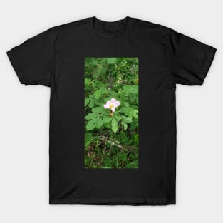 Wild Rose T-Shirt